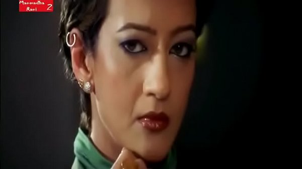 Desi Delight: A Spicy Taste Of India