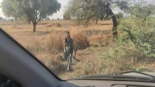 A Horny Traveler’s Wild Ride With A Local Indian Whore