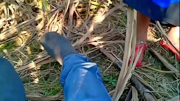 Indian Village Bhabhi Getting Wild And Dirty In The Open Air